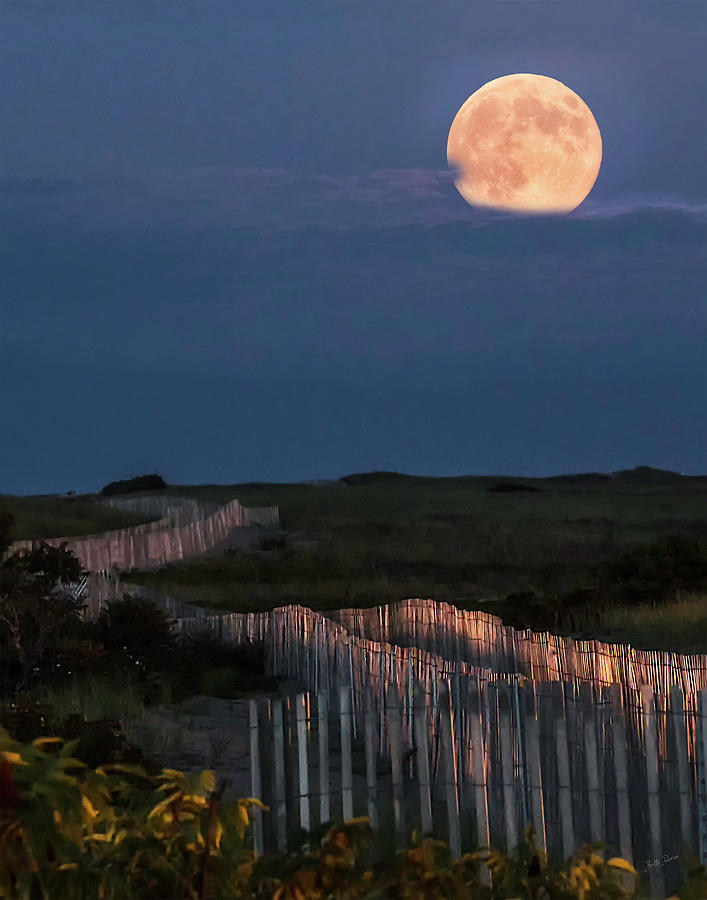 Super Photograph - Super Moon Rising Over Plum Island by Betty Denise