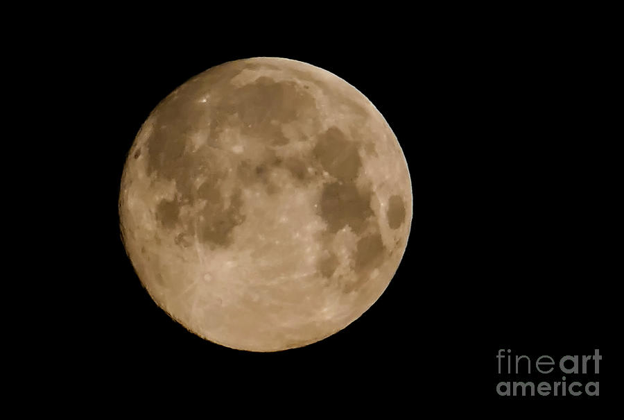 Super Moon with Black Background Photograph by Sandra Js