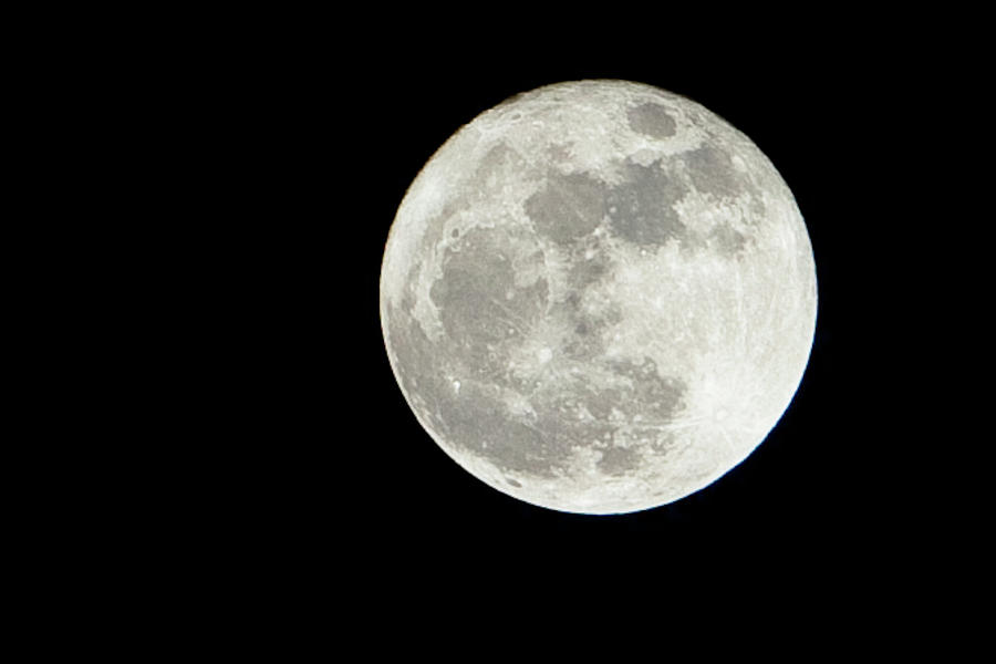 Super Moon_031911 Photograph by Rocco Leone