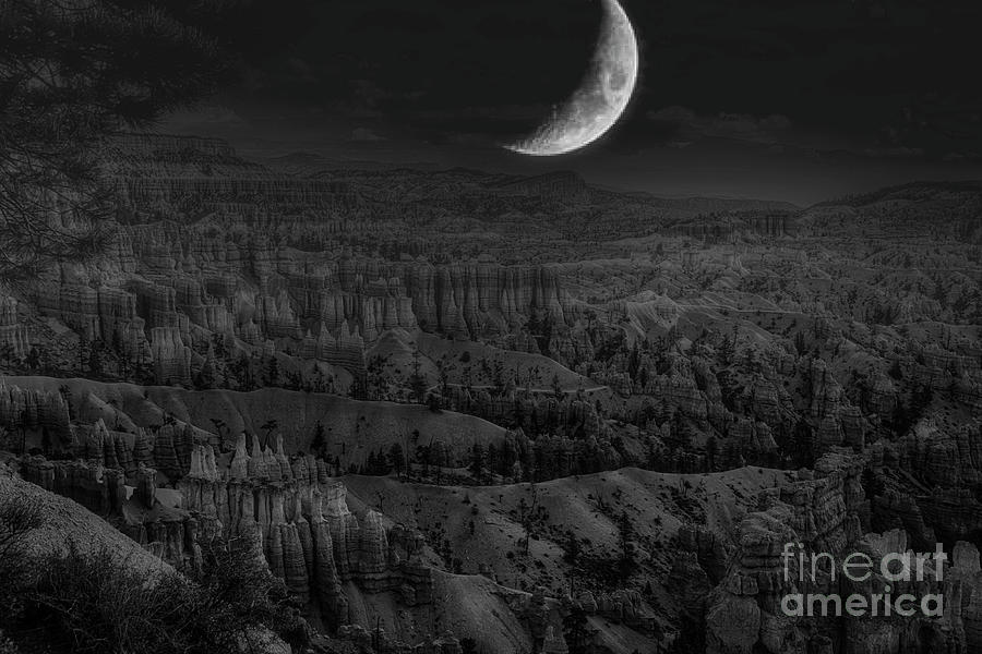 Super Moov over Bryce Canyon Black White Utah Photograph by Chuck Kuhn