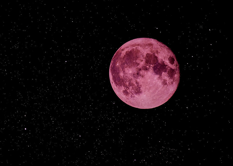 Space Photograph - Super Pink Moon by Bob Orsillo