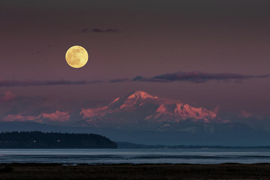Sunset Photograph - Super Snow Moon from Boundary Bay by Pierre Leclerc Photography