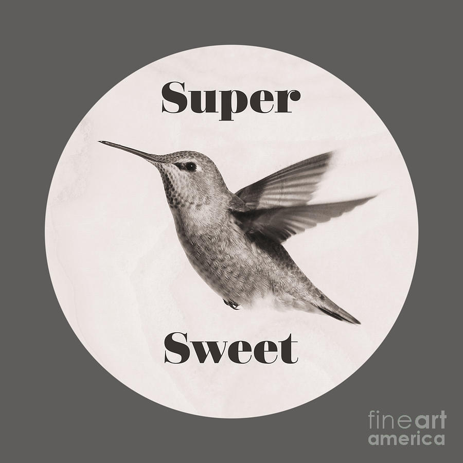 Super Sweet Hummingbird Photograph by Carol Groenen