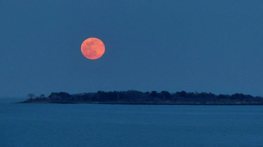 Super Worm Moon over Great Miser Island Photograph by Scott Hufford