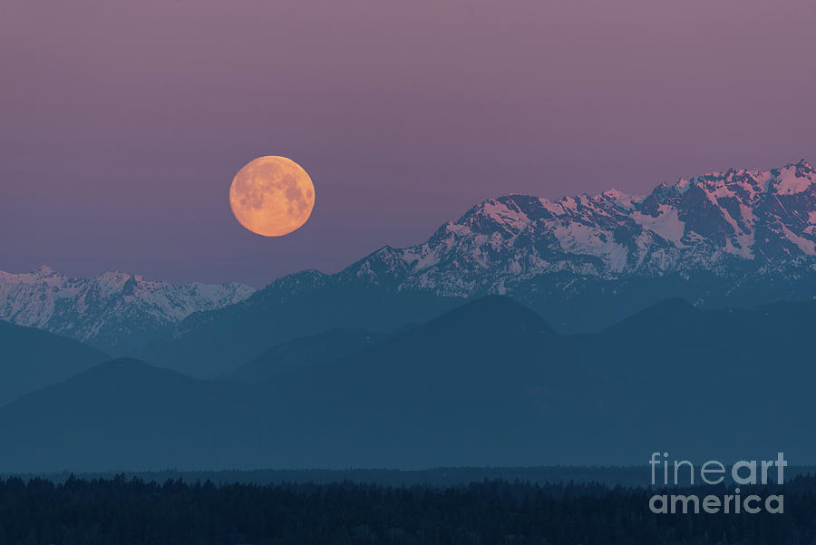 Supermoon and Olympic Mountains on Spring Equinox March 20, 2019 Photograph by Nancy Gleason
