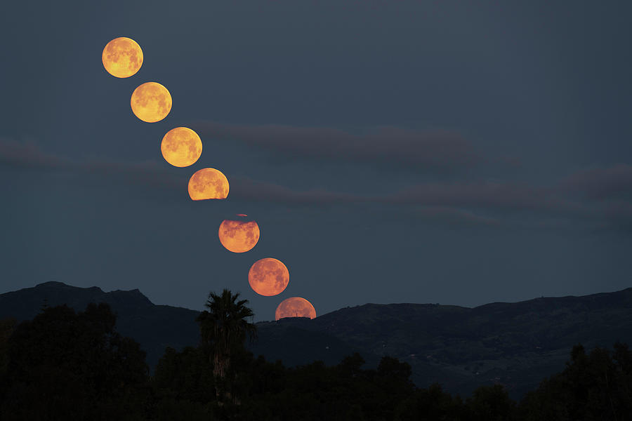 Supermoon Stack Sets at Dawn Photograph by Lindsay Thomson