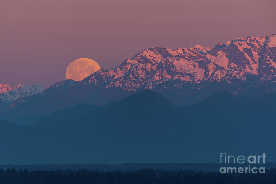 Supermoon Sets during Sunrise on Spring Equinox 2019 Photograph by Nancy Gleason