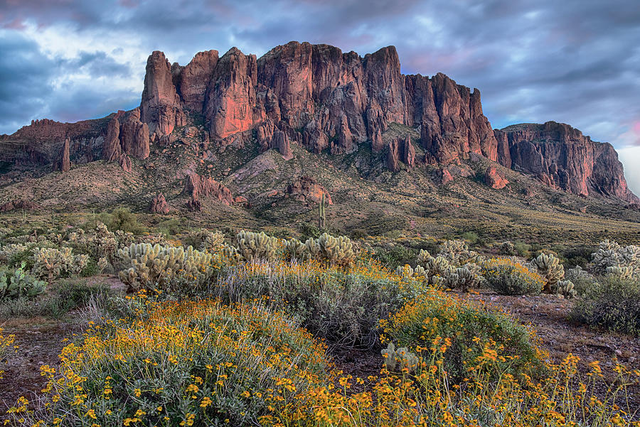 Superstion Mountains with Blooming Brittlebush in Arizona Photograph by Dave Dilli