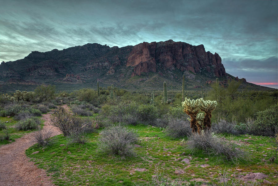 Superstition Mountain Path Photograph by Sue Cullumber