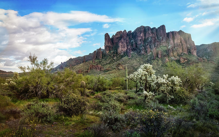 Superstition Mountains At Springtime Photograph by Saija Lehtonen ...