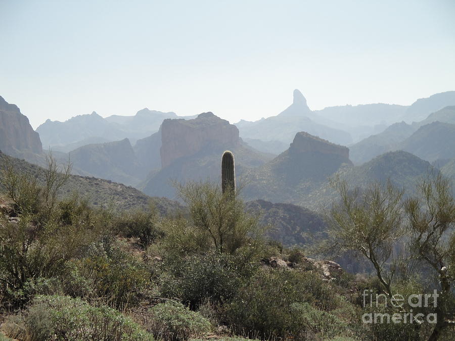 Superstition Mountains Women's Backpacking