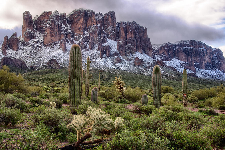 Superstitions Mountains with Snow Photograph by Dave Dilli