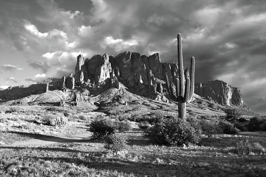Superstitions Sentry Photograph by American Landscapes
