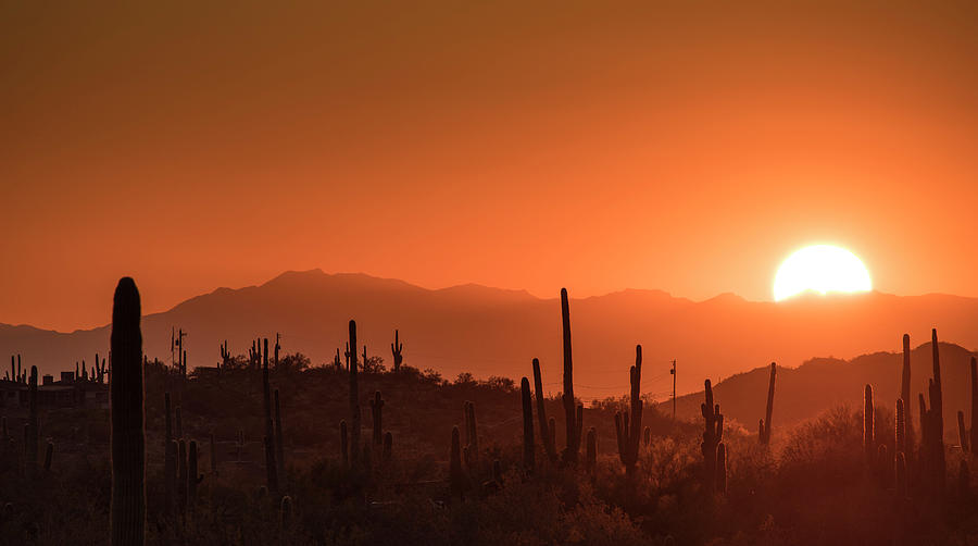 Superstitions Sunrise Photograph by Greg Nyquist - Fine Art America