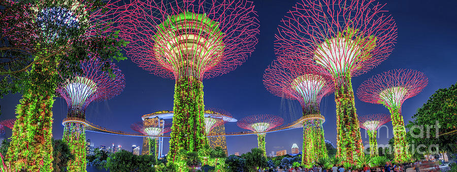 Supertree Singapore Panorama Photograph by Benny Marty