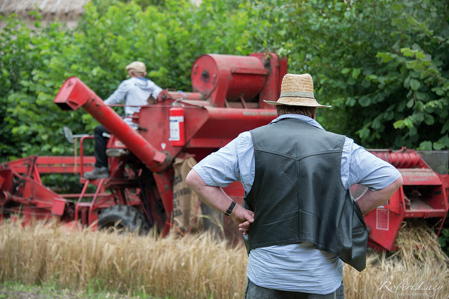 Supervising The Harvest Photograph