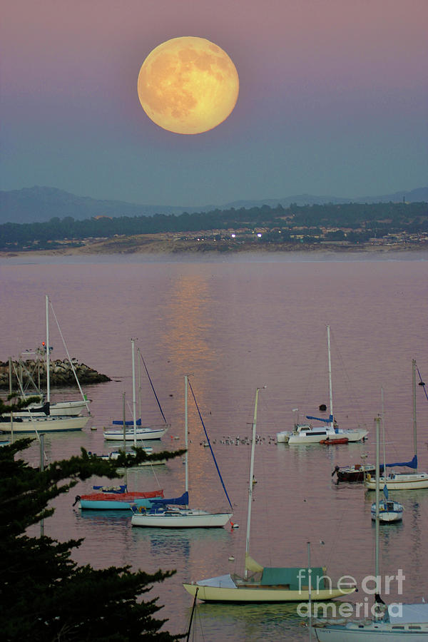Super Photograph - Supermoon over Monterey Bay 2009 by Monterey County Historical Society