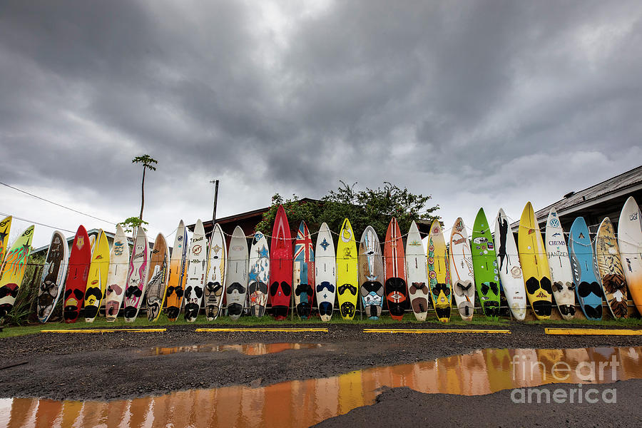Surf Board Fence Photograph by Erin Marie Davis