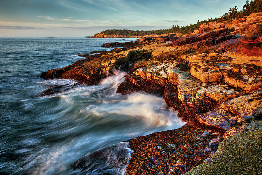 Acadia Coast 2361 Photograph by Greg Hartford