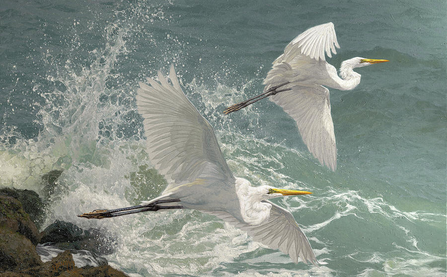Bird Painting - Surf Song by Greg Beecham