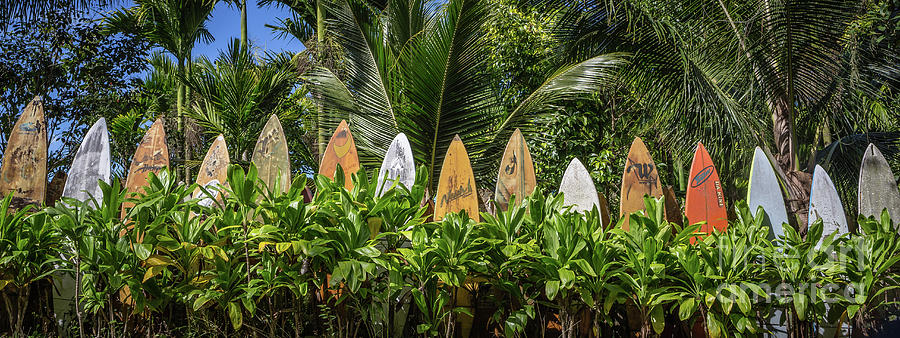Surfboard Fence Maui Hawaii 16x6 Photograph by Edward Fielding