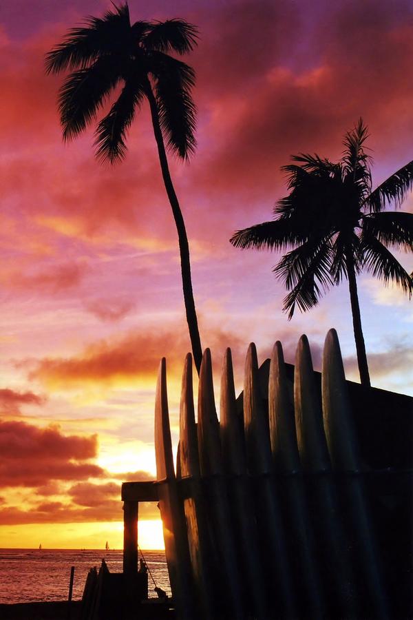 Sunset Photograph - Surfboard Sunset by DJ Florek