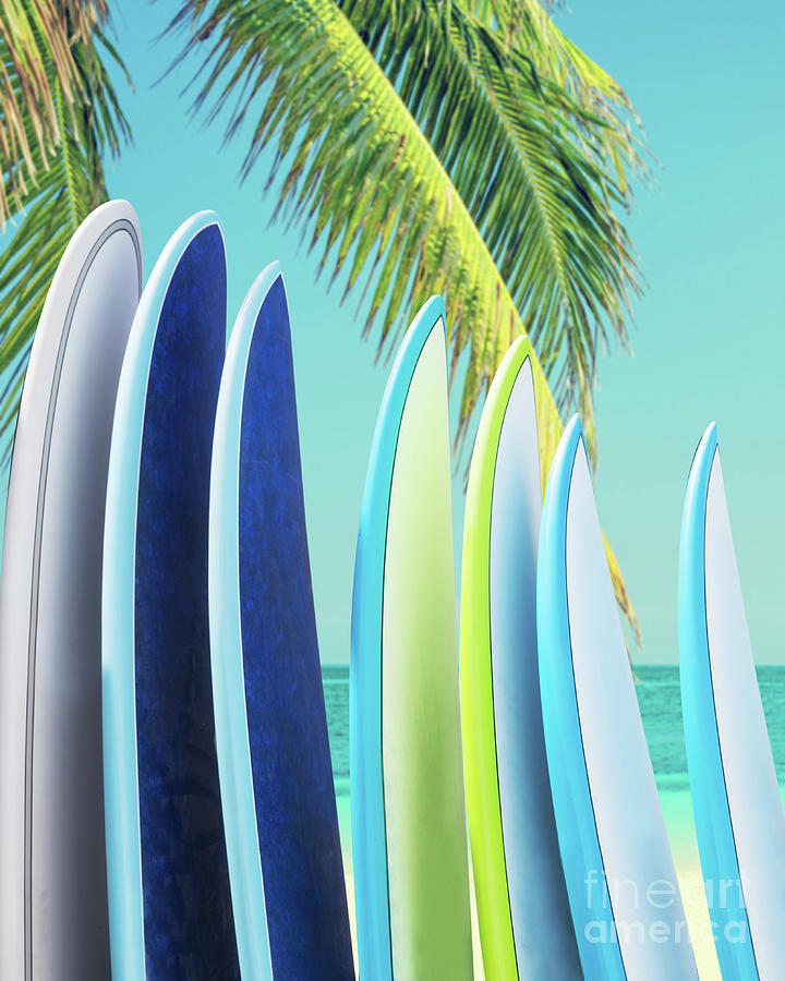Surfboards and palm tree Photograph by Delphimages Photo Creations