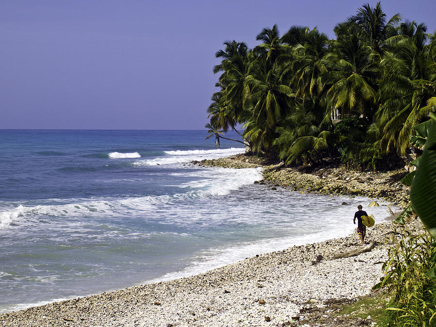 Surfer and the Caribbean Sea Photograph by John Seaton Callahan