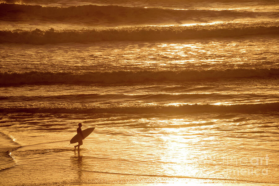 Surfer on the beach, golden ocean waves at sunset Photograph by Delphimages Photo Creations Surfer on the beach, golden ocean waves at sunset Photograph by Delphimages Photo Creations