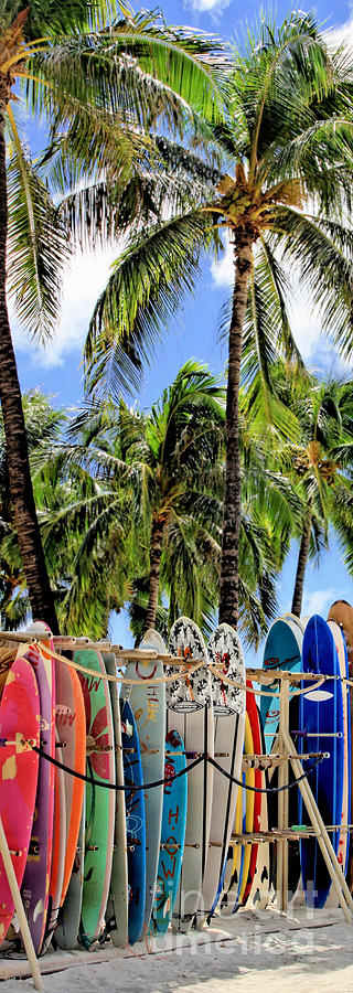 Surfin Waikiki Photograph by DJ Florek