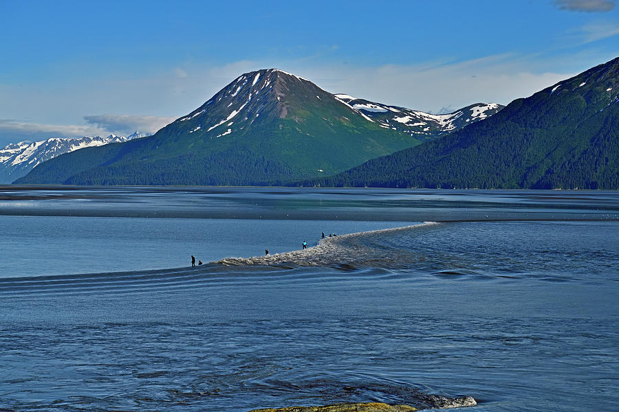 Surfing on Tide Wave - Turnagain Arm, Anchorage Photograph by Amazing Action Photo Video