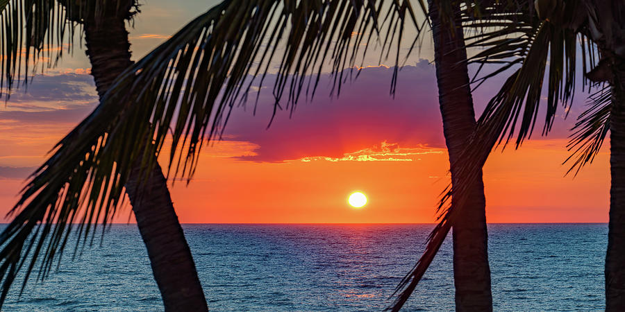 Surfs Up Sunset Mazatlan Mexico Photograph by Tommy Farnsworth