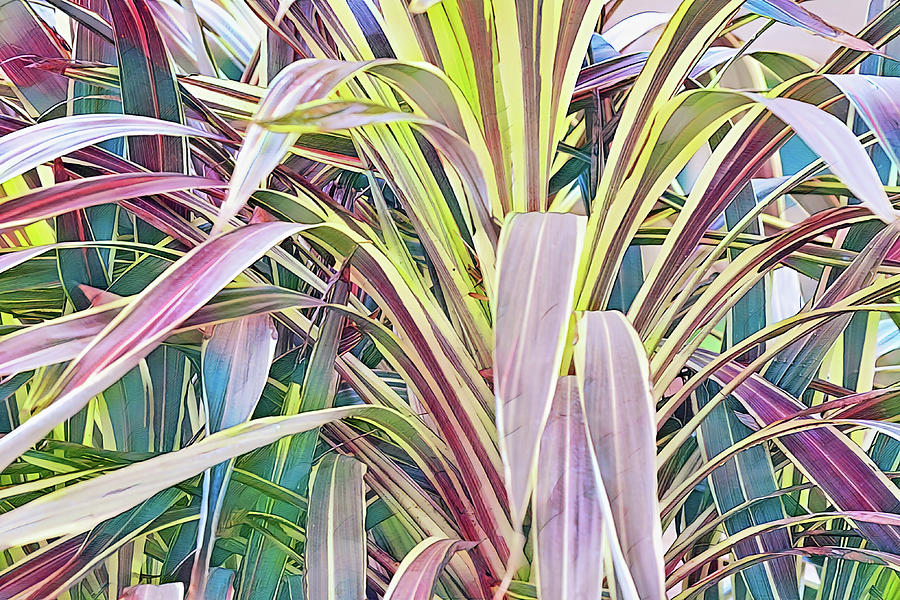 Surging Bromeliad Leaves Abstract Digital Art by Gaby Ethington