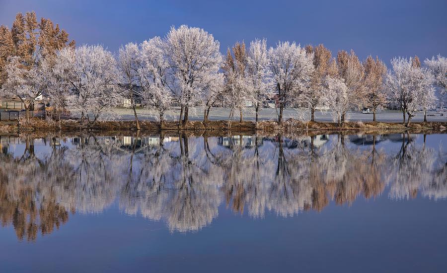 Surprise Frost on the River  Photograph by Lynn Hopwood