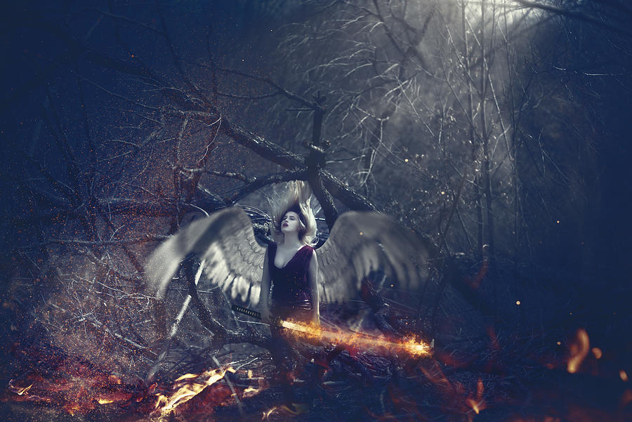 Surreal Angel In The Woodland Photograph by Stock_colors