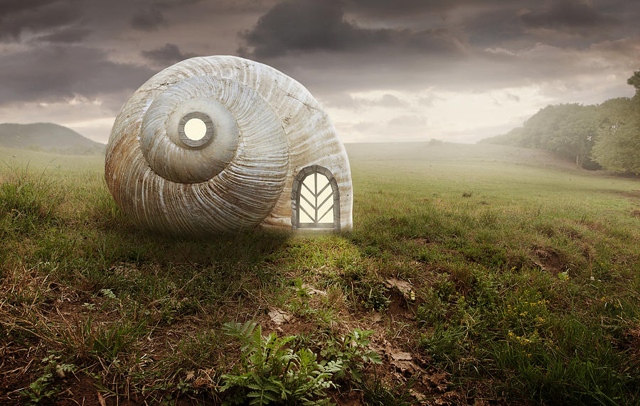 Surreal artistic image with a Snail and shell house Digital Art by ...