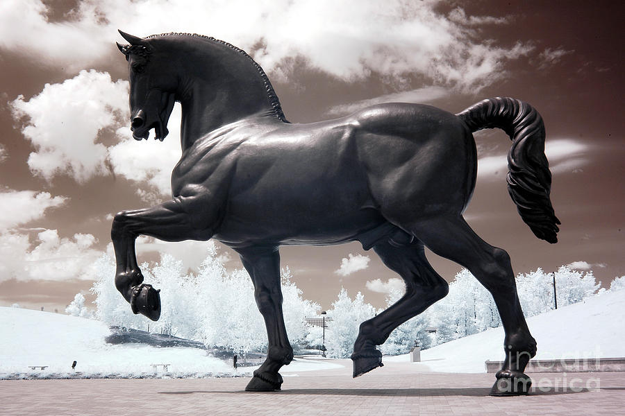 Surreal equine black white infrared war horse monument Meijer Gardens Michigan Photograph by Kathy Fornal