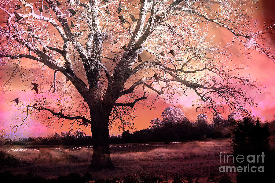 Surreal Fantasy Autumn Fall South Carolina Gothic Trees Flying Ravens Spooky Nature Trees  Digital Art by Kathy Fornal