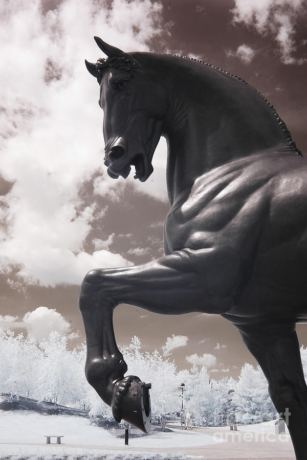 Surreal horse black infrared war horse monument Meijer Gardens Michigan Horse Statue Monument Nature Photograph by Kathy Fornal