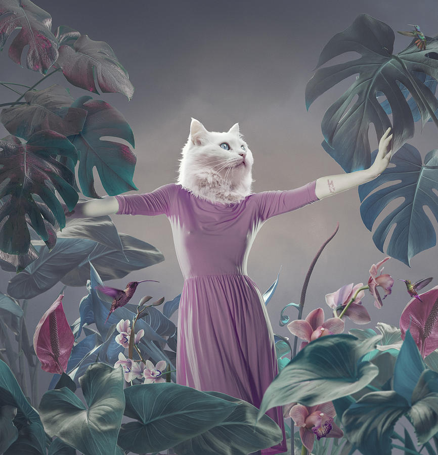 Surreal portrait of white cat Photograph by Vizerskaya