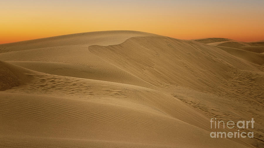 Surreal Sand Dunes Photograph by Mimi Ditchie