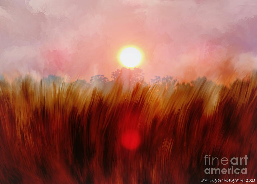 Surreal Sunflare Field Photograph by Tami Quigley