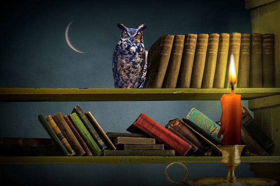 Surrealistic Image of an Owl on a Bookshelf lit by a Red Candle  Photograph by Randall Nyhof