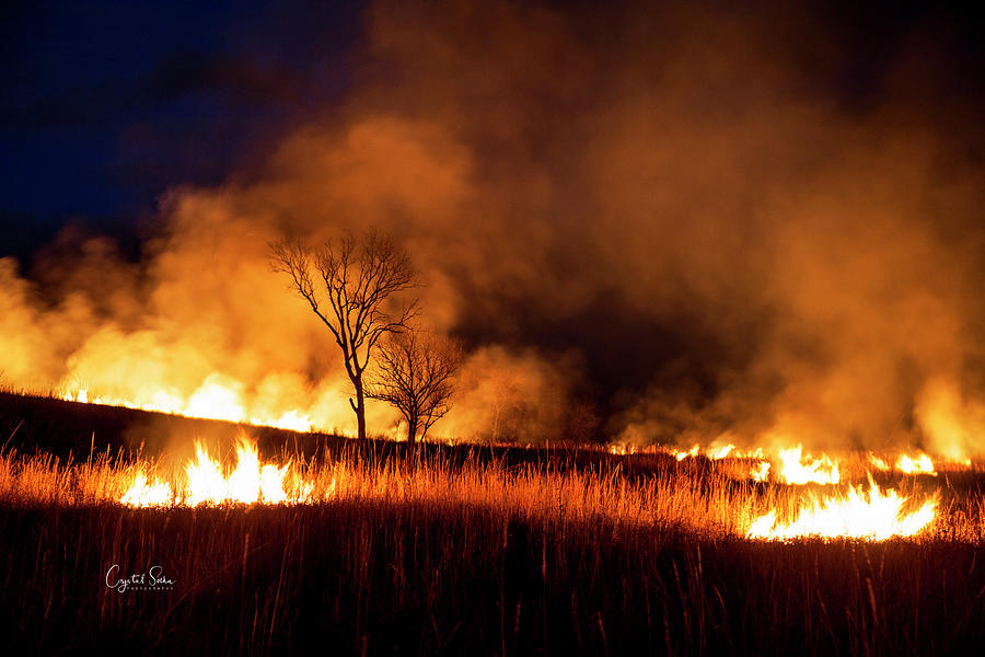 Surrounded by Flames Photograph by Crystal Socha