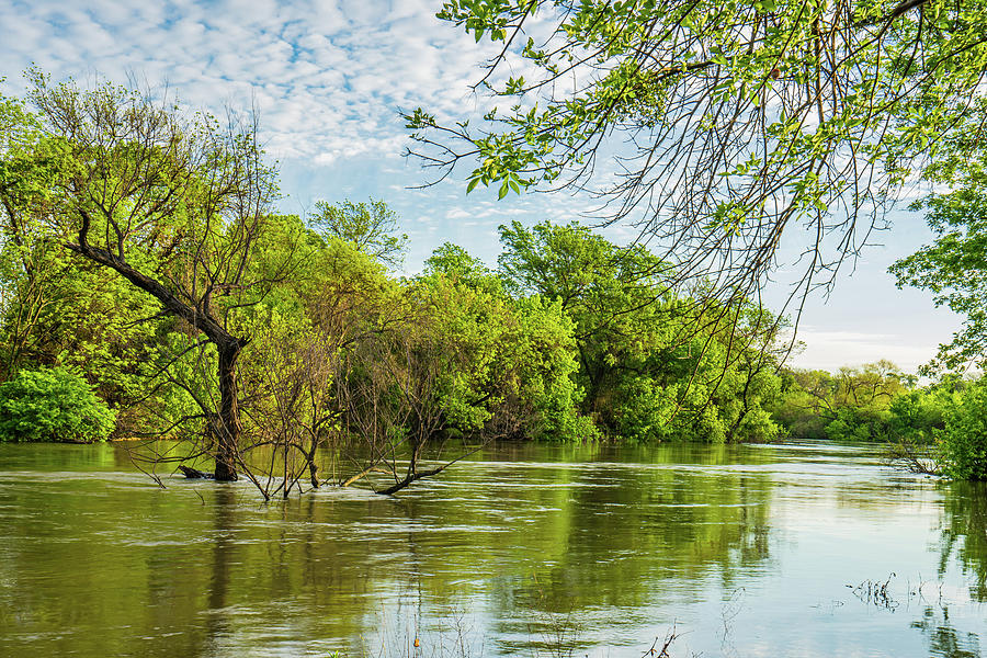Surrounded, Flood Waters in the Trinity River Photograph by Ron Long Ltd Photography