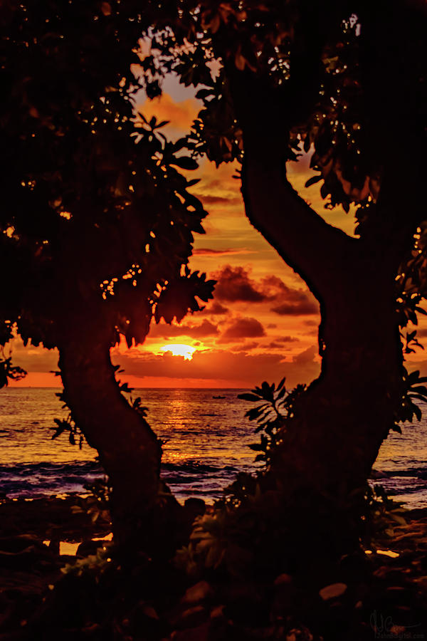 Surrounding Sunset Photograph by John Bauer