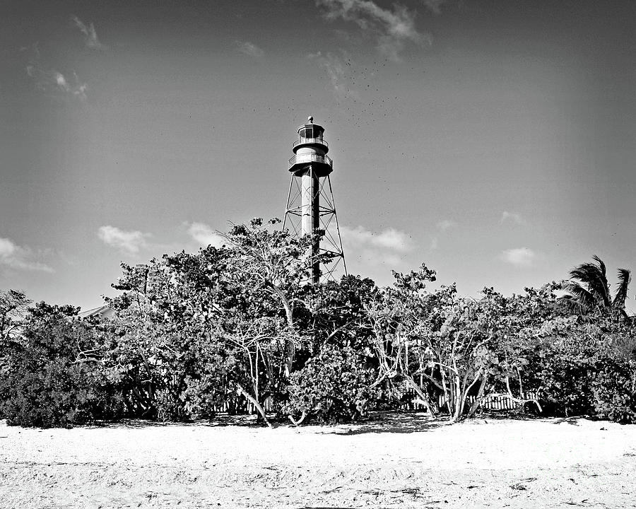 Surroundings - Sanibel Island Lighthouse - BW Photograph by Chris Andruskiewicz