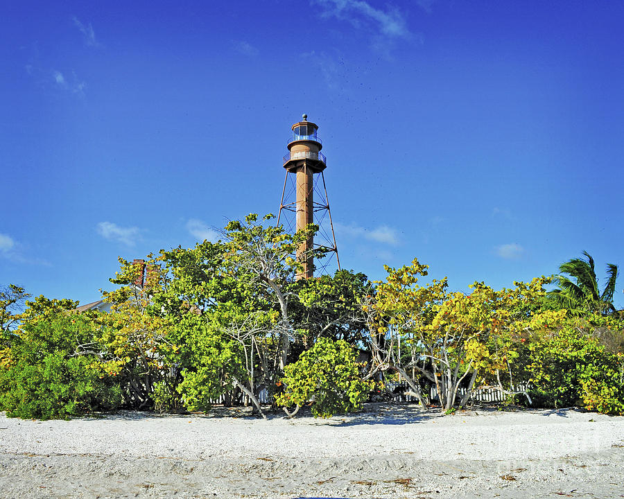 Surroundings - Sanibel Island Lighthouse Photograph by Chris Andruskiewicz