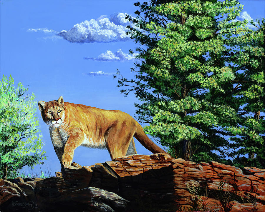 Surveying His Territory Painting by Timithy L Gordon