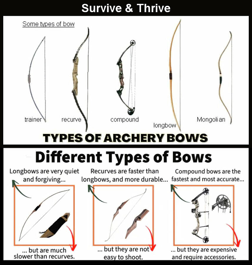 Survive and Thrive Archery Bows v1 Photograph by Robert Banach